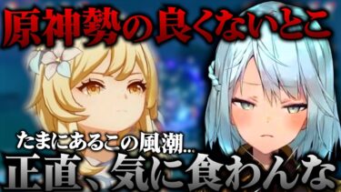 ねるめろ氏が本音で語る…原神は民度良いって言われるけどこういう所は良くないとこよね…【ねるめろ切り抜き】