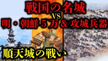 【朝鮮出兵】戦国の技術の粋を集めた順天城が固すぎる！順天城の戦い