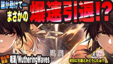 【鳴潮/Wuthering Waves】誰か助けて…まさかの正式リリース日に爆速引退っ!?【考察・攻略・初心者】