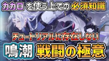 【＃鳴潮】知ることで戦闘の次元が一段階変わる！チュートリアルで説明してくれない鳴潮の戦闘の極意について【WutheringWaves】