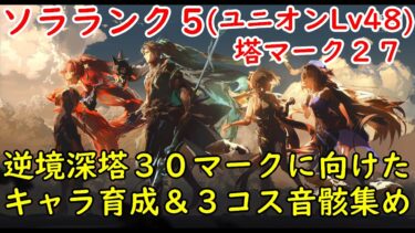 【鳴潮】逆境深塔３０マーク取るためのキャラ育成！現在マーク２７！【wutheringwaves】