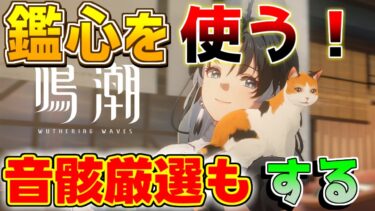 【鳴潮】鑑心を使っていきたい「めいちょう」【攻略解説】/#鳴潮/リセマラ/エコー/ビルド