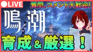 【鳴潮】新情報はまだかな…? Ver1.1に備えて厳選や育成するぞ！  質問、コメント大歓迎です！【めいちょう/Wuthering Waves】 厳選 インリン コンシ チョウリ  ライブ 配信