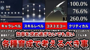 【鳴潮】効率の良い育成と、効率を求めすぎない育成について解説します/コスト３メインステータスの話等【Wutheringwaves 】#鳴潮 #プロジェクトWAVE