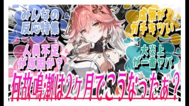 【鳴潮】なぜまだ実装2ヶ月で鳴潮はこうなってしまったのか？・・・に対してのみんなの反応特集【めいちょう】