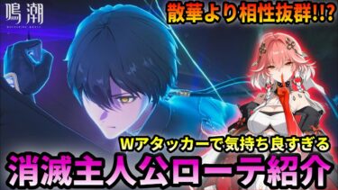 【鳴潮】消滅主人公があまりにも長離と相性良くてワロタ【ひょうはくしゃ/ちょうり/逆境深塔/攻略/めいちょう】