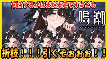 【鳴潮】最大予算10万円で折枝(おりえ)を引く。無凸かそれとも完凸か/初見・質問歓迎【Wutheringwaves 】#鳴潮 #鳴潮RALLY