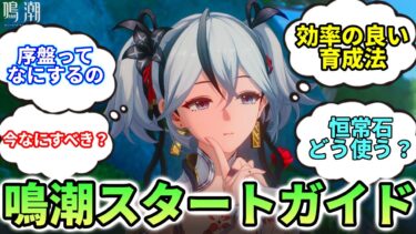 【鳴潮】ショアキーパー/ツバキ目当てで鳴潮始めようと思ってる人必見!! 鳴潮初心者ガイド【めいちょう/初心者/育成/ガチャ】