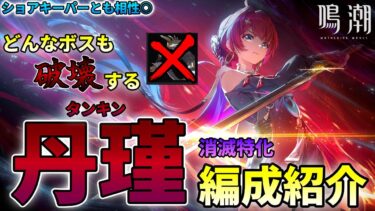 【鳴潮】ショアキーパーとも相性良い!! どんな敵も破壊し尽くす丹瑾編成の紹介【めいちょう/たんきん/逆境深塔/攻略】