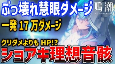 【鳴潮】ショアキーパーは4コスメインステはクリダメよりもHP!?33311の回折3積み構成!?どんどん慧眼ダメージがやばくなってくと話題に【Wuthering Waves】#鳴潮 #鳴潮RALLY