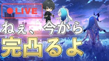 【鳴潮】ショアキーパー完凸ガチャして検証する配信