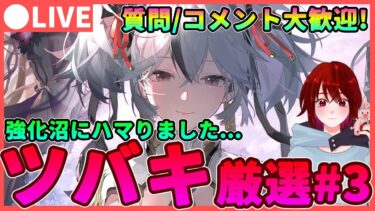 【鳴潮】強化沼に入ってます… 「ツバキ」音骸厳選#3 ★質問やコメント大歓迎! 一発教の調子が悪い…チュナが無くなりそうです(´；ω；`)ｳｩｩ【めいちょう/WuWa】新キャラ アプデ 灯灯