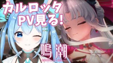 【#鳴潮 】強音シミュを攻略してカルロッタのPVを見るよ！！！《雪咲ゆうか》#vtuber #雪咲ゆうか #wutheringwaves