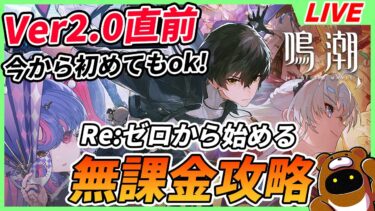 【鳴潮】年越しまでブッ続け配信！今年もお世話になりました！来年からが本番だ！！【Wuthering Waves】