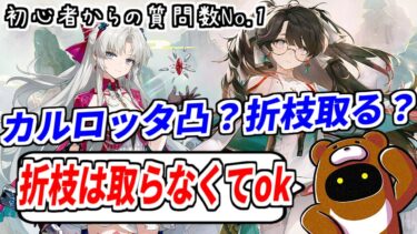 【鳴潮】カルロッタと折枝に悩む初心者続出！今汐やロココが本当に欲しいか良く考えて！！