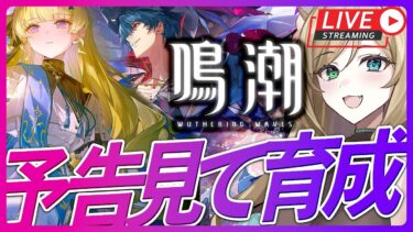 【#鳴潮】右も左もわかりませんが次バージョン気になります！初見さん大歓迎【概要欄読んでね】【#WutheringWaves/#vtuber/ライブ配信】