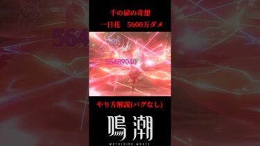 【鳴潮】一日花 5600万ダメ!? 誰でもバグみたいな火力を出す方法#鳴潮 #wutheringwaves #攻略 #shorts