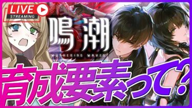 【#鳴潮】右も左もわかりませんが育てたいです！初見さん大歓迎【概要欄読んでね】【#WutheringWaves/#vtuber/ライブ配信】