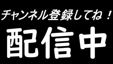 【鳴潮】新キャラ江戸すぎる