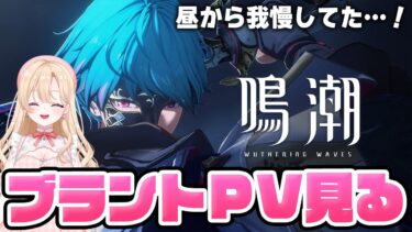 【#鳴潮】完全初見！ブラントのキャラPVを見ます！やばい予感しかないタスケテ１７９【初心者・初見さん歓迎/めいちょう/wuthering waves/wuwa/Vtuber】#鳴潮RALLY