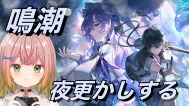 【鳴潮】夜更かし鳴潮！周年にそなえてやります⭐ #6