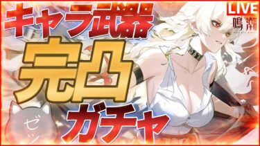 【鳴潮】来たぞVer2.3！最推しザンニーキャラ武器完凸スキルMAX厳選音骸装備うおおおおおお！【Wuthering Waves】