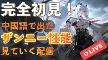 【鳴潮】中国公式で出たザンニーの性能を見る配信