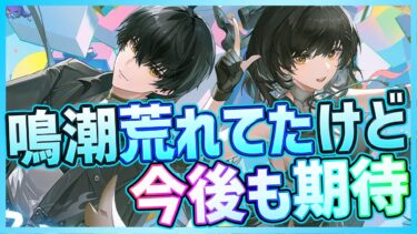 【#鳴潮】周年予告で荒れてたけどアニバーサリー以降も長期サービス継続に期待【Wuthering Waves/めいちょう】