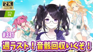 【#鳴潮】 週ラストですよ～～！音骸回収しながら小ネタ情報おまちしております！！ Part331 #鳴潮RALLY / 2K1440p 【#Vtuber】