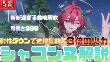 【鳴潮】久しぶりの気動属性の新キャラ『シャコンヌ』と”森のアリア”にある耐性ダウンが強い理由を徹底解説！【必見】