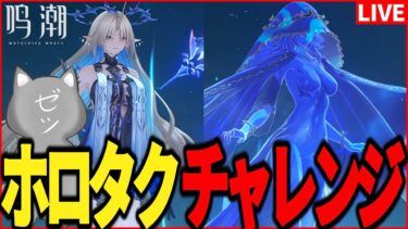 【鳴潮】過去最高難易度になりそうなホロタクチャレンジ【Wuthering Waves】