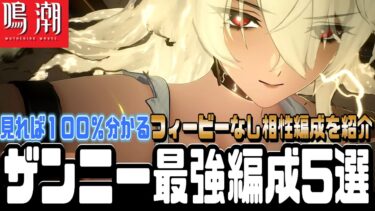 【鳴潮】実戦形式で分かる”５０万超え”期待できる編成『フィービー』持ってない人必見！ローテもプチ解説します。【初心者必見】