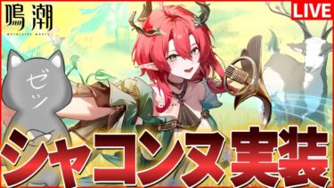 【鳴潮】シャコンヌ実装だああああ！気道強化！？アールト！？【Wuthering Waves】