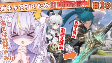 【鳴潮】あとは忌炎将軍の武器のみ！！推しのために！頑張って石をかき集めますっ💦ダンゴイベントやるかも✨初見さんも大歓迎💜 #vtuber #天音るな