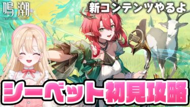【#鳴潮】ボリュームがすごいらしい「夢現のシーベット」を初見プレイします！！！250【初心者・初見さん歓迎/めいちょう/wuthering waves/wuwa】#鳴潮RALLY