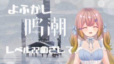 【鳴潮】レベル22目指して！！！ #8