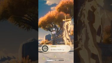 【鳴潮】実績「月下のノクターン」暁月の騎士の場所　 #鳴潮 #wutheringwaves　なるしお　めいちょう