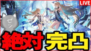 【鳴潮】こ～～～～れは完凸です！～カルテジア発表～【Wuthering Waves】