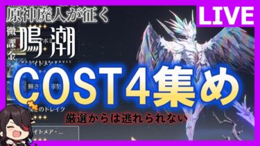 【鳴潮】新キャラに備えて音骸COST4をひと狩行くぜ　■No.8 (Wuthering Waves/ めいちょう )