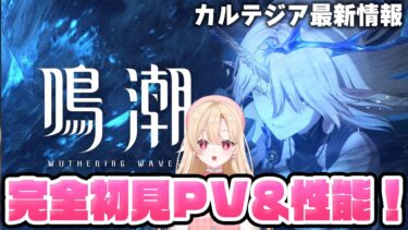 【#鳴潮】カルテジアのキャラPVと性能＆武器詳細を完全初見チェックしていきます！！！256【初見さん歓迎/めいちょう/wuthering waves/wuwa】#鳴潮RALLY