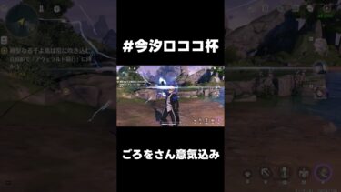 【鳴潮】TA大会　ごろをさん　参加意気込み！【wutheringwaves 】【めいちょう】#鳴潮　#今汐ロココ杯
