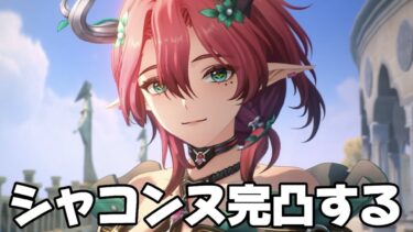 【#鳴潮 】カルテジアと相性がいいことが確定したのでシャコンヌ完凸します【概要欄読んでね】