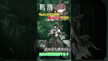 【鳴嘲】新キャラ四人目「仇遠」鑑心の兄弟とかだったりしないかな？ #鳴潮 #wutheringwaves #rpg