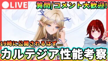 【鳴潮】性能7時は無しです…  カルテジア性能考察! 質問、コメント大歓迎!  ★レシートを確認しつつローテやおすすめビルド、性能を考察!【めいちょう/WuWa】