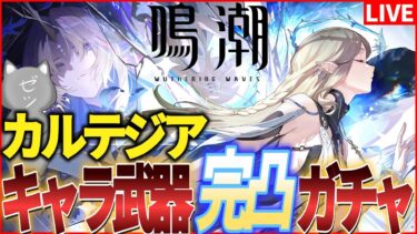 【鳴潮】カルテジアW完凸ガチャ！さらにデカくなっちまうのか…【Wuthering Waves】