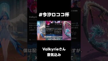 【鳴潮】TA大会　Valkyrieさん　参加意気込み！【wutheringwaves 】【めいちょう】#鳴潮　#今汐ロココ杯