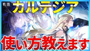 【鳴潮】カルテジアの使い方を爆速で解説！能力の説明文は長いけど実際やることは超簡単だぞ！ #鳴潮 #プロジェクトWAVE