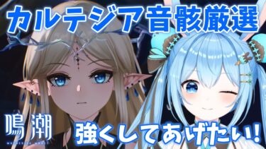 【#鳴潮 】#カルテジア の音骸厳選をするよ～！！無凸餅でも強くしてあげたい～！！《雪咲ゆうか》#vtuber #雪咲ゆうか #wutheringwaves #プロジェクトWAVE